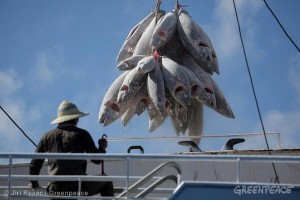 Kegiatan transshipment ikan tuna di Samudera Hindia (Dok. Greenpeace)