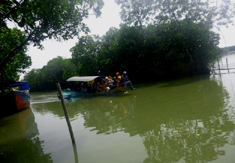 Wisatawan memadati perahu menyusuri kawasan mangrove (dok. villagerspost.com/muhammad bangkit)
