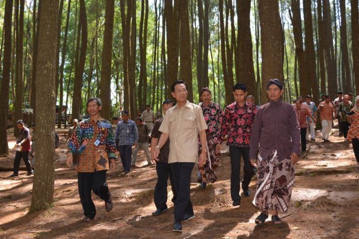 Gubernur DI Yogyakarta Sri Sultan Hamengkubuwono X meninjau hutan konservasi di provinsi tersebut (dok. jogjaprov.go.id)