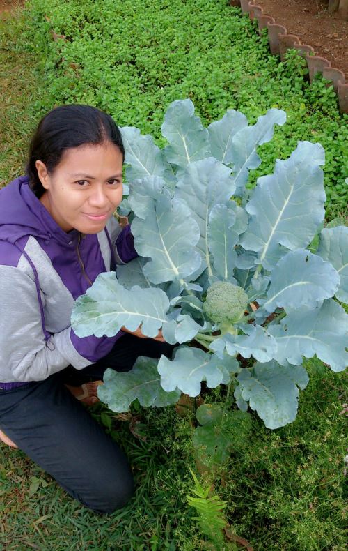 Maya dan sayuran organik hasil panen (dok. maya stolastika boleng)